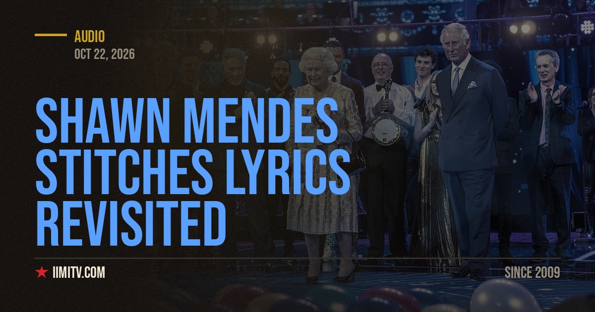 Shawn Mendes Stitches Lyrics Revisited